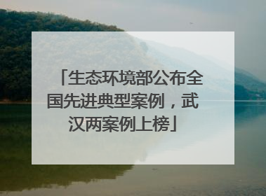 生态环境部公布全国先进典型案例，武汉两案例上榜