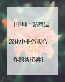 申坤：浙商是深化中非务实合作的新桥梁