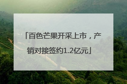 百色芒果开采上市，产销对接签约1.2亿元
