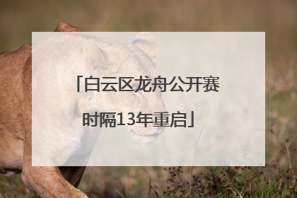 白云区龙舟公开赛时隔13年重启