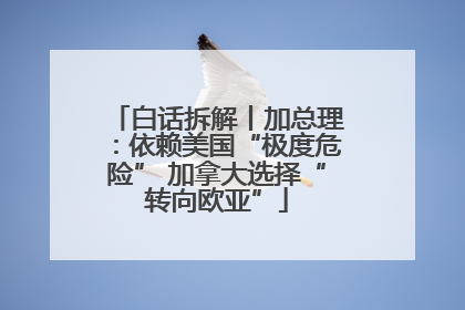 白话拆解丨加总理：依赖美国“极度危险” 加拿大选择“转向欧亚”