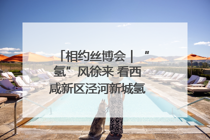 相约丝博会｜“氢”风徐来 看西咸新区泾河新城氢能产业聚链成势