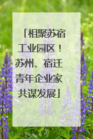 相聚苏宿工业园区！苏州、宿迁青年企业家共谋发展