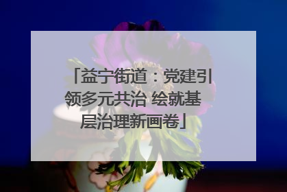 益宁街道：党建引领多元共治 绘就基层治理新画卷