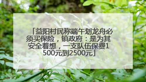 益阳村民称端午划龙舟必须买保险，镇政府：是为其安全着想，一支队伍保费1500元到2500元