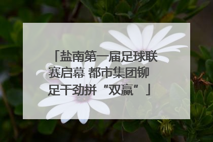 盐南第一届足球联赛启幕 都市集团铆足干劲拼“双赢”