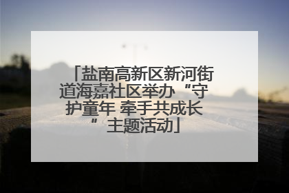 盐南高新区新河街道海嘉社区举办“守护童年 牵手共成长”主题活动