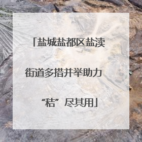 盐城盐都区盐渎街道多措并举助力“秸”尽其用
