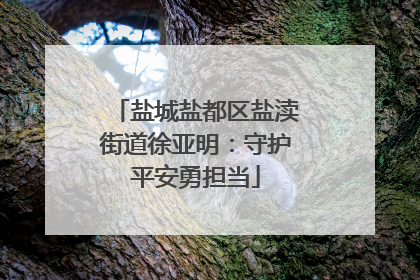 盐城盐都区盐渎街道徐亚明：守护平安勇担当