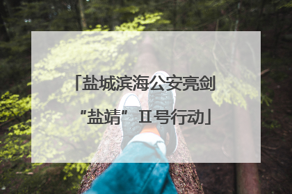 盐城滨海公安亮剑“盐靖”Ⅱ号行动