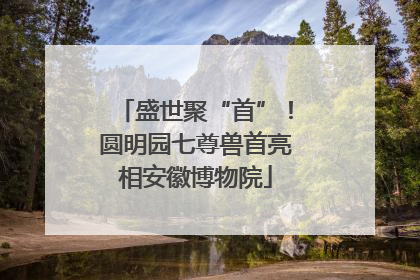 盛世聚“首”！圆明园七尊兽首亮相安徽博物院