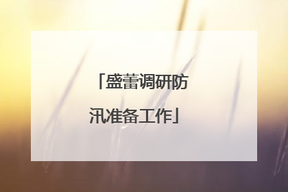 盛蕾调研防汛准备工作