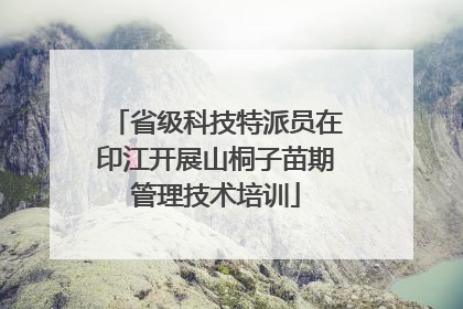 省级科技特派员在印江开展山桐子苗期管理技术培训