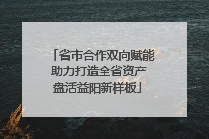 省市合作双向赋能 助力打造全省资产盘活益阳新样板