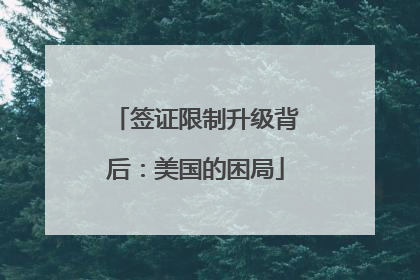 签证限制升级背后：美国的困局