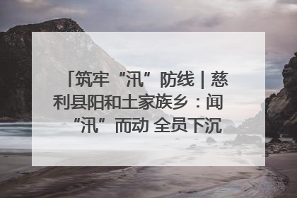 筑牢“汛”防线｜慈利县阳和土家族乡：闻“汛”而动 全员下沉筑牢防汛“安全堤”