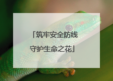 筑牢安全防线 守护生命之花