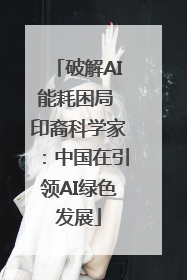 破解AI能耗困局 印裔科学家：中国在引领AI绿色发展