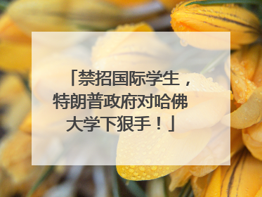 禁招国际学生，特朗普政府对哈佛大学下狠手！