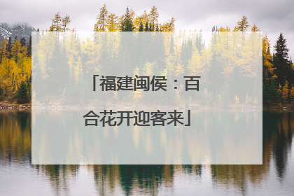 福建闽侯：百合花开迎客来