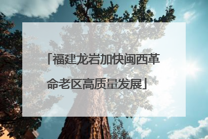 福建龙岩加快闽西革命老区高质量发展