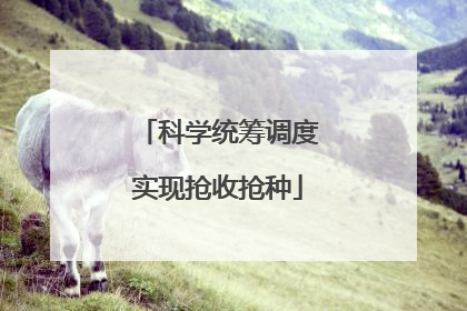 科学统筹调度实现抢收抢种