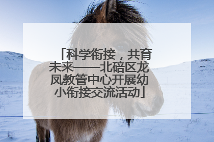 科学衔接，共育未来——北碚区龙凤教管中心开展幼小衔接交流活动