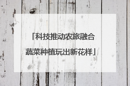 科技推动农旅融合 蔬菜种植玩出新花样