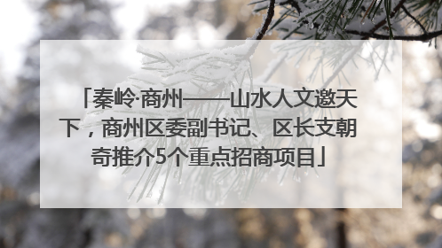 秦岭·商州——山水人文邀天下，商州区委副书记、区长支朝奇推介5个重点招商项目