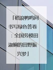 稻浪鸭鸣间书写绿色答卷：全国劳模田淑娴的田野振兴梦