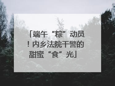 端午“粽”动员！内乡法院干警的甜蜜“食”光