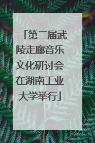 第二届武陵走廊音乐文化研讨会在湖南工业大学举行