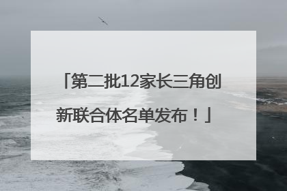 第二批12家长三角创新联合体名单发布！