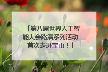 第八届世界人工智能大会路演系列活动首次走进宝山！