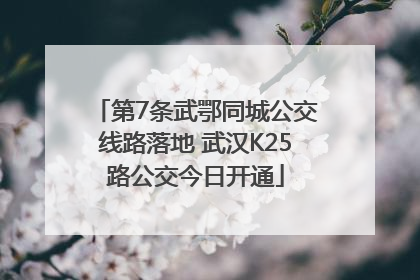 第7条武鄂同城公交线路落地 武汉K25路公交今日开通