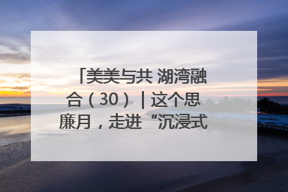 美美与共 湖湾融合（30）｜这个思廉月，走进“沉浸式”清风课堂