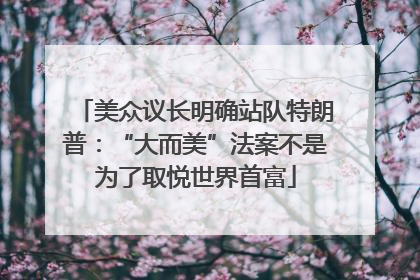 美众议长明确站队特朗普：“大而美”法案不是为了取悦世界首富
