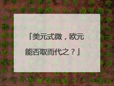 美元式微，欧元能否取而代之？
