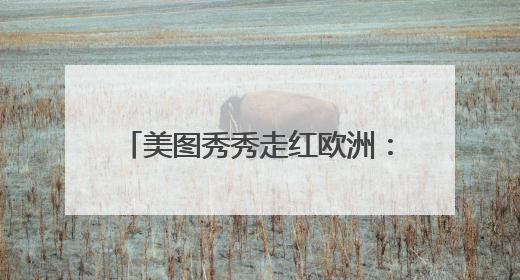美图秀秀走红欧洲：斩获意大利、土耳其、俄罗斯App Store分类榜第一