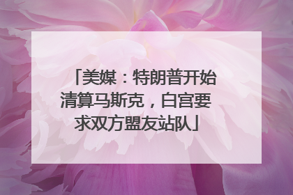 美媒：特朗普开始清算马斯克，白宫要求双方盟友站队