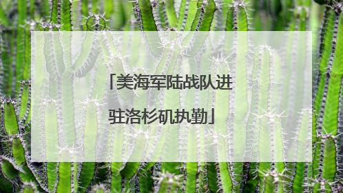 美海军陆战队进驻洛杉矶执勤