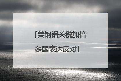 美钢铝关税加倍 多国表达反对