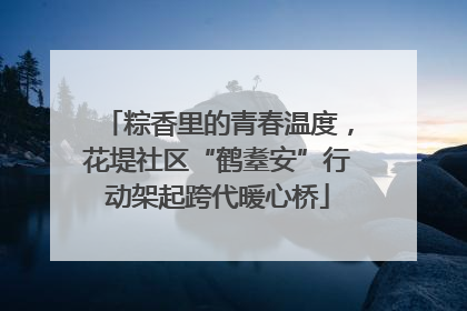 粽香里的青春温度，花堤社区“鹤耋安”行动架起跨代暖心桥