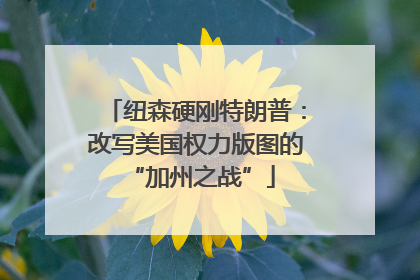 纽森硬刚特朗普：改写美国权力版图的 “加州之战”