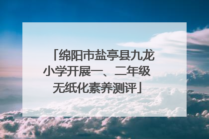 绵阳市盐亭县九龙小学开展一、二年级无纸化素养测评
