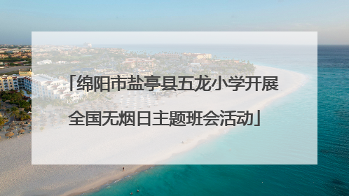 绵阳市盐亭县五龙小学开展全国无烟日主题班会活动