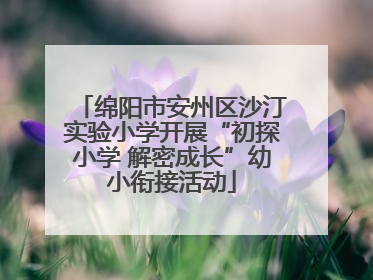 绵阳市安州区沙汀实验小学开展“初探小学 解密成长”幼小衔接活动