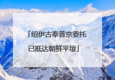 绍伊古奉普京委托已抵达朝鲜平壤