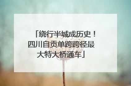 绕行半城成历史！四川自贡单跨跨径最大特大桥通车