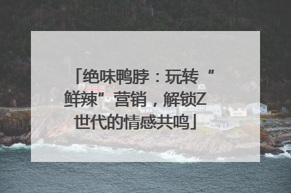 绝味鸭脖：玩转“鲜辣”营销，解锁Z世代的情感共鸣